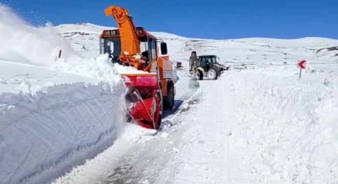 Kar Erzurum'da hayatı felç etti